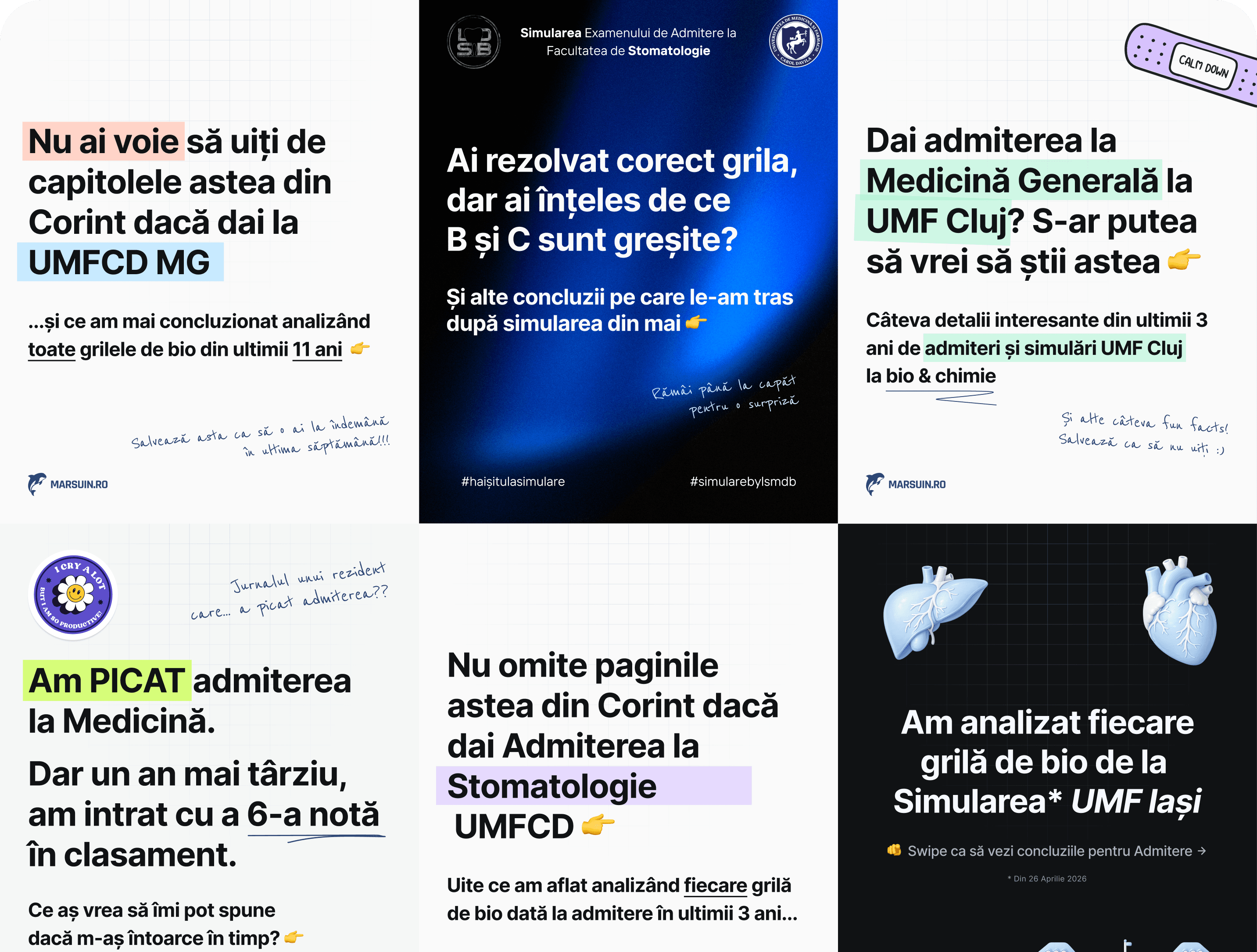 Postări marsuin de pe Instagram