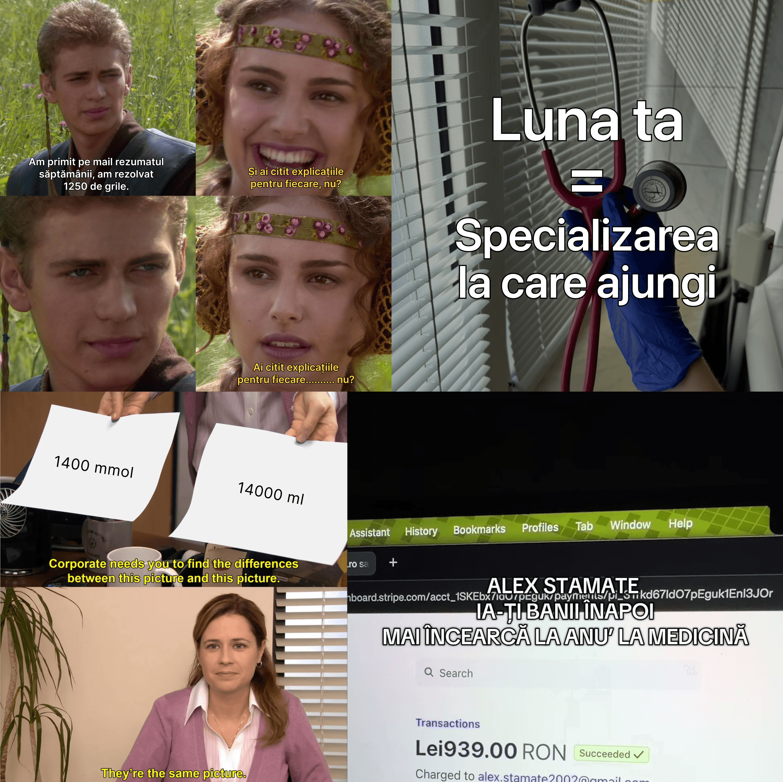 Videoclipuri marsuin de pe TikTok