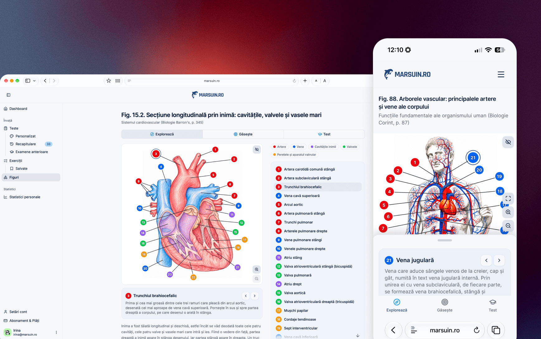 Desenele din Barron's și Corint, Interactive și Gratuite: Atlas Online pentru Admiterea la Medicină