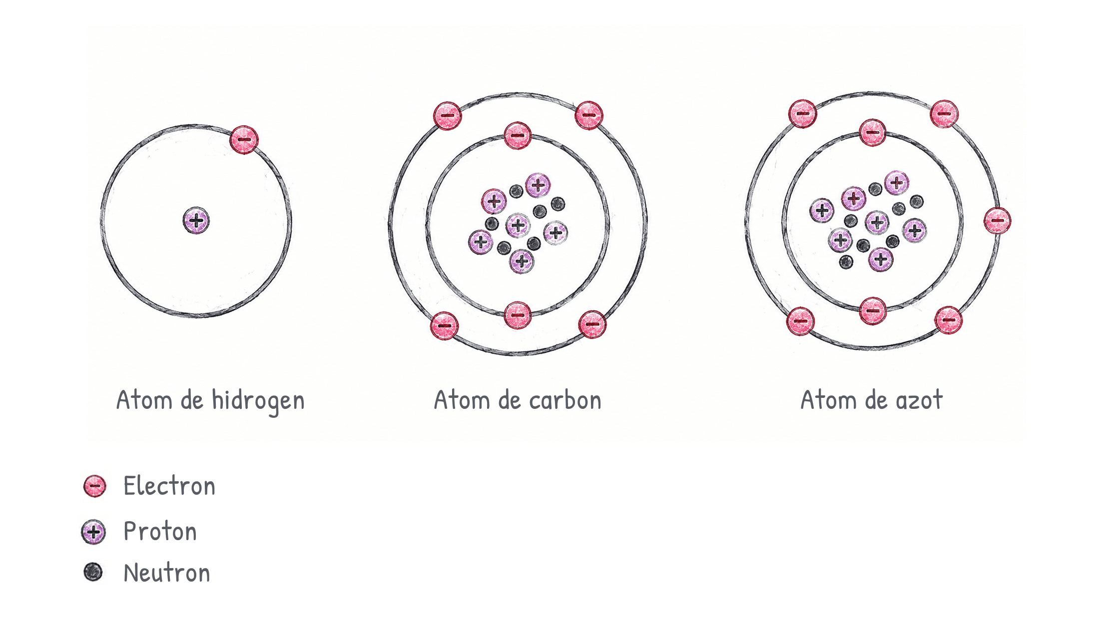 Structura atomului: hidrogen, carbon și azot